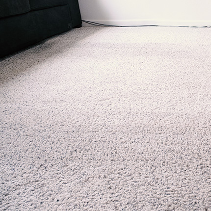 Image of a completed carpte cleaning. The carpet looks sooo much better.