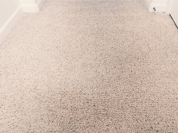 image of a front hallway completed carpet and houch cleaner it is